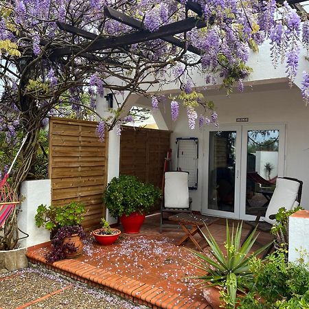 Arriba Stijlvol Appartement Met Zwembad En Tuin 콘일데라프론테라 외부 사진