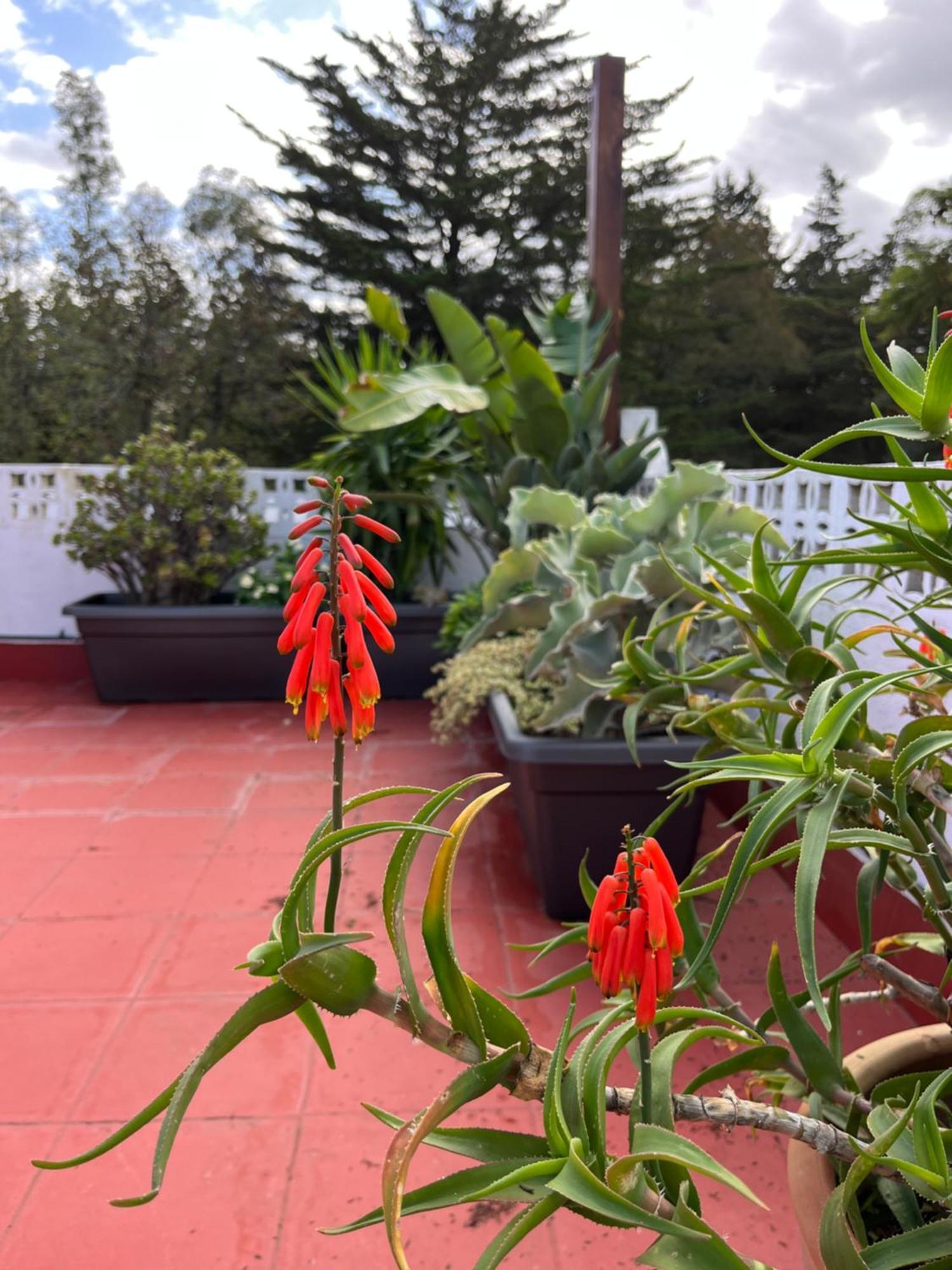 Arriba Stijlvol Appartement Met Zwembad En Tuin 콘일데라프론테라 외부 사진