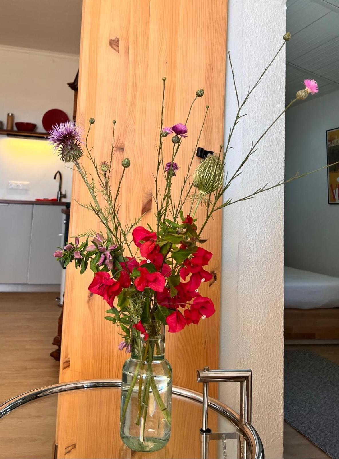 Arriba Stijlvol Appartement Met Zwembad En Tuin 콘일데라프론테라 외부 사진
